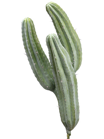 38" Column Cactus x3  Green (pack of 1)