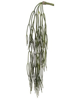 26" Pencil Cactus Hanging Bush Green (pack of 24)