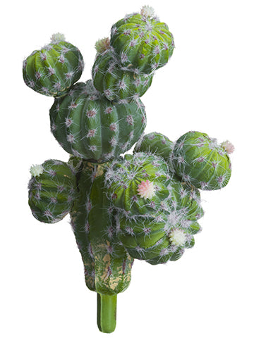 9" Barrel Cactus Pick  Green (pack of 6)