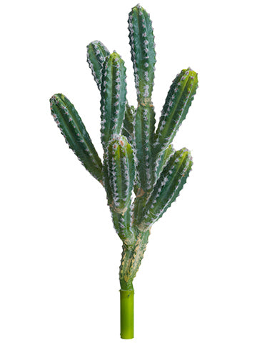 18.5" Peruvian Cactus  Green (pack of 4)