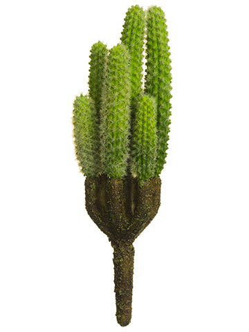 8.5" Finger Cactus Pick  Two Tone Green (pack of 12)