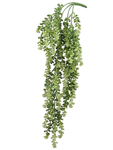 24" Donkey Tail Bush x4  Two Tone Green (pack of 6)