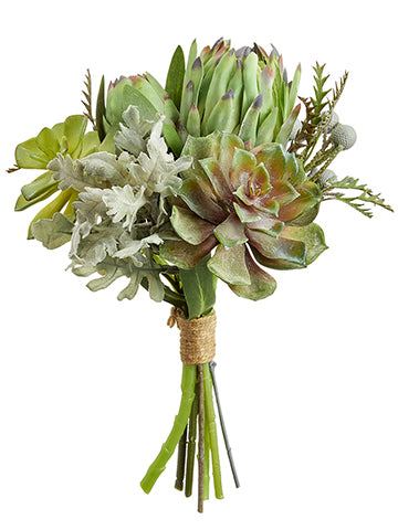 12" Echeveria/Protea/Brunia Bouquet Green Gray (pack of 6)