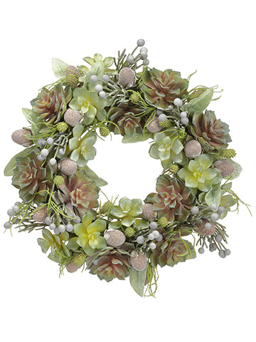 18" Echeveria/Leucadendron/ Brunia Wreath Green Mauve (pack of 1)