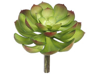 6"D Soft Plastic Echeveria Pick Burgundy Green (pack of 12)