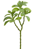 15" Jade Plant Spray  Green Gray (pack of 12)