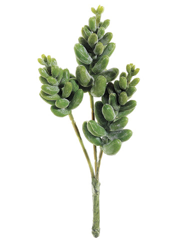 6" Donkey Tail Pick  Green (pack of 12)