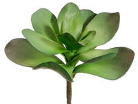 12" Kalanchoe Plant with 12 Leaves Green (pack of 6)