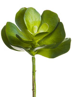 10.5"Dx14"L Kalanchoe Spray  Green Gray (pack of 6)