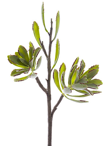 17" Soft Plastic Kalanchoe Spray x2 Green Gray (pack of 6)