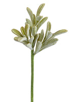 9" Soft PE Aeonium Pick  Frosted Green (pack of 12)