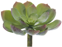 Green Gray