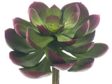 Green Burgundy