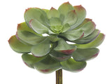 Green Gray