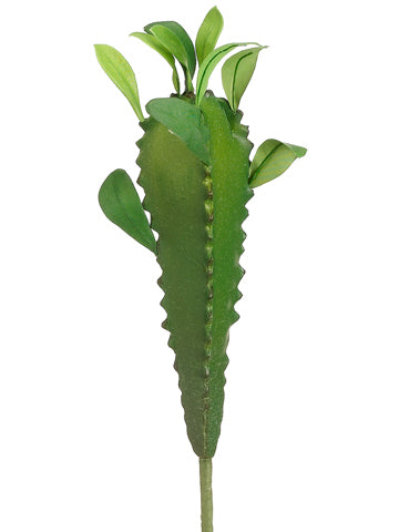 13" Madagascar Plant  Green (pack of 12)