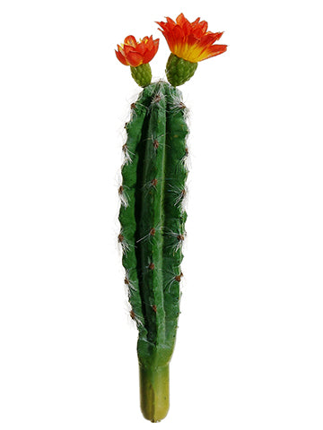 7.5" Peruvian Cactus  Green Orange (pack of 24)
