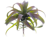 Green Gray