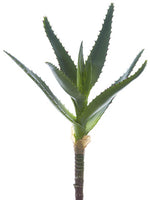 8.5" Agave Pick  Green Gray (pack of 12)