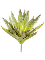6.5" Soft Aloe Pick  Green (pack of 24)