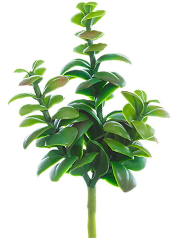 6.5" Soft Jade Plant Pick  Green (pack of 36)