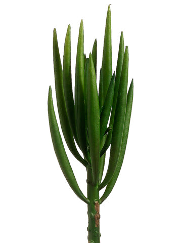 8" Senecio Pick  Green (pack of 24)