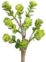 8.5" Soft Plastic Sedum Pick  Green (pack of 24)