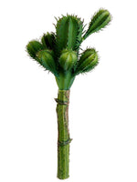 7" Mini Column Cactus Pick  Green (pack of 24)