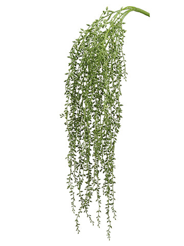 28" Mini Senecio Hanging Bush With 76 Leaves Green (pack of 12)