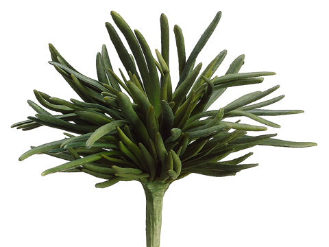 10" Finger Succulent Bush  Green (pack of 6)