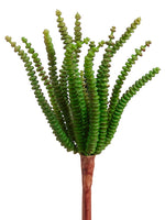 7" Worm Succulent Pick  Green (pack of 36)