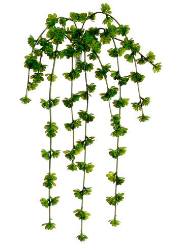 20" Sedum Vine x9  Green (pack of 12)