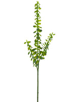 31.5" Money Plant Spray  Green (pack of 12)