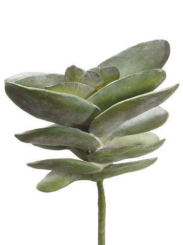 8" Succulent  Green (pack of 12)