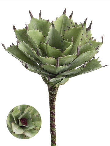 8" Agave Pick  Green (pack of 12)
