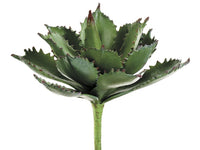 11" Agave Plant  Green (pack of 6)