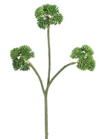 11" Sedum Spray  Green (pack of 24)