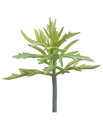 8" Leaf Succulent Pick  Green Gray (pack of 12)