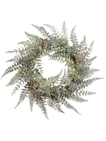 24" Succulent Wreath  Green Frosted (pack of 1)