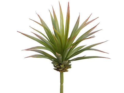 6.5" Yucca Pick  Green Burgundy (pack of 12)