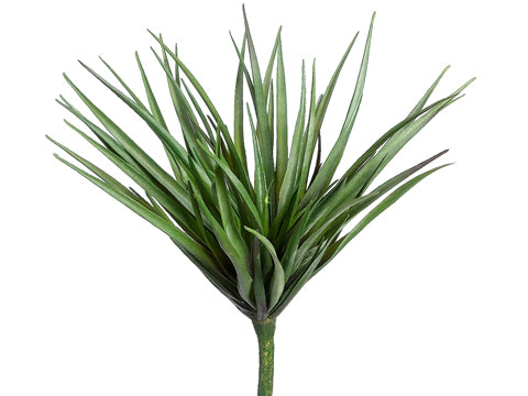 14.5" Desert Yucca  Dark Green (pack of 6)