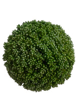7in