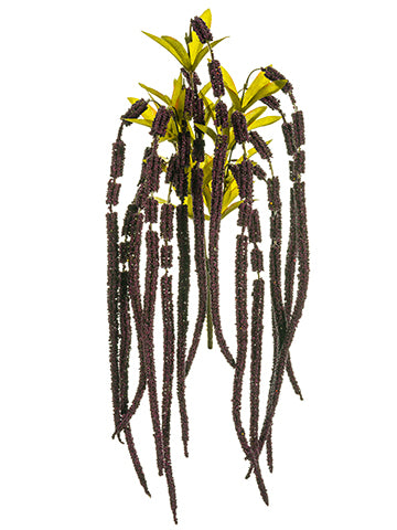 30" Amaranthus Hanging Bush x7 Purple (pack of 12)