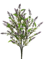 Purple Lavender