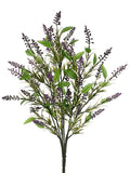 Purple Lavender