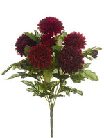 12" Mini Chrysanthemum Bush  Two Tone Burgundy (pack of 6)