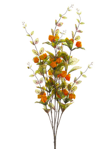 32" Chinese Lantern Bush x3  Orange Yellow (pack of 6)