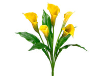 24" Calla Lily Bush  Yellow (pack of 6)