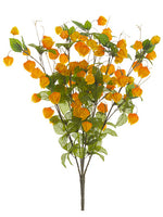 24" Chinese Lantern Bush  Flame Orange (pack of 6)