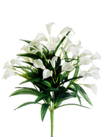 14.5" Mini Calla Lily Bush x9  White (pack of 12)