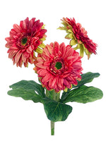 12" Gerbera Daisy Bush  Watermelon (pack of 12)